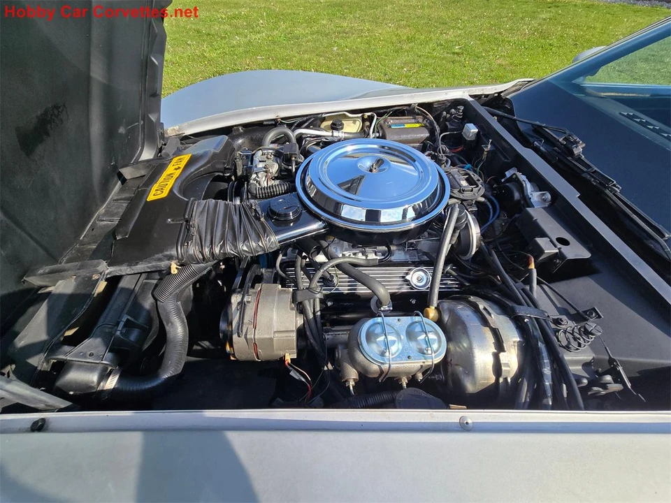 1981 Chevrolet Corvette C3 - Image 20 of 31