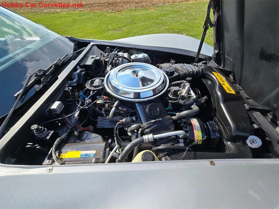 1981 Chevrolet Corvette C3 - Image 21 of 31