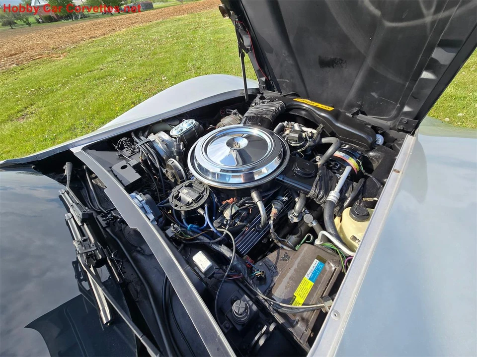 1981 Chevrolet Corvette C3 - Image 23 of 31