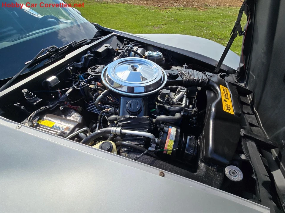 1981 Chevrolet Corvette C3 - Image 25 of 31