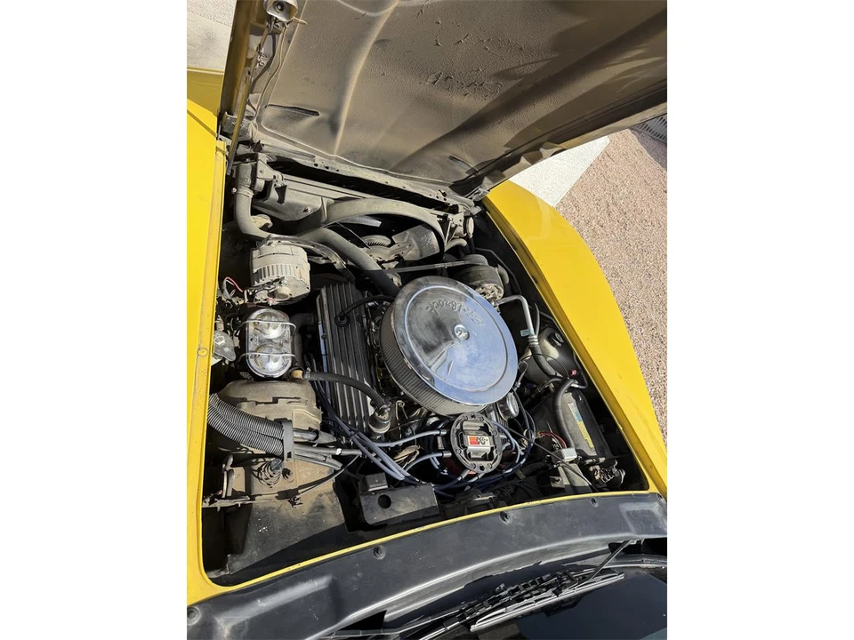 1981 Chevrolet Corvette C3 - Image 19 of 19