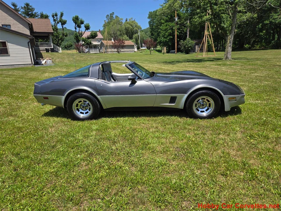 1981 Chevrolet Corvette C3 - Image 2 of 31
