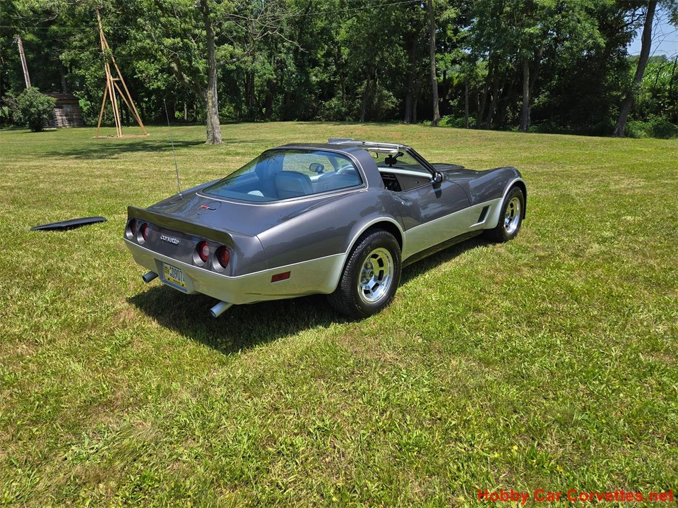 1981 Chevrolet Corvette C3 - Image 3 of 31