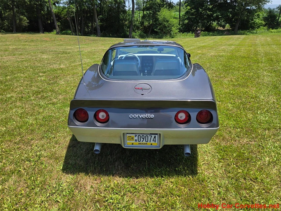 1981 Chevrolet Corvette C3 - Image 4 of 31