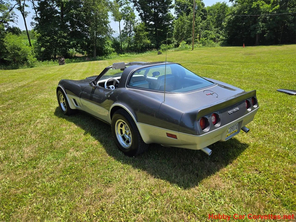 1981 Chevrolet Corvette C3 - Image 5 of 31