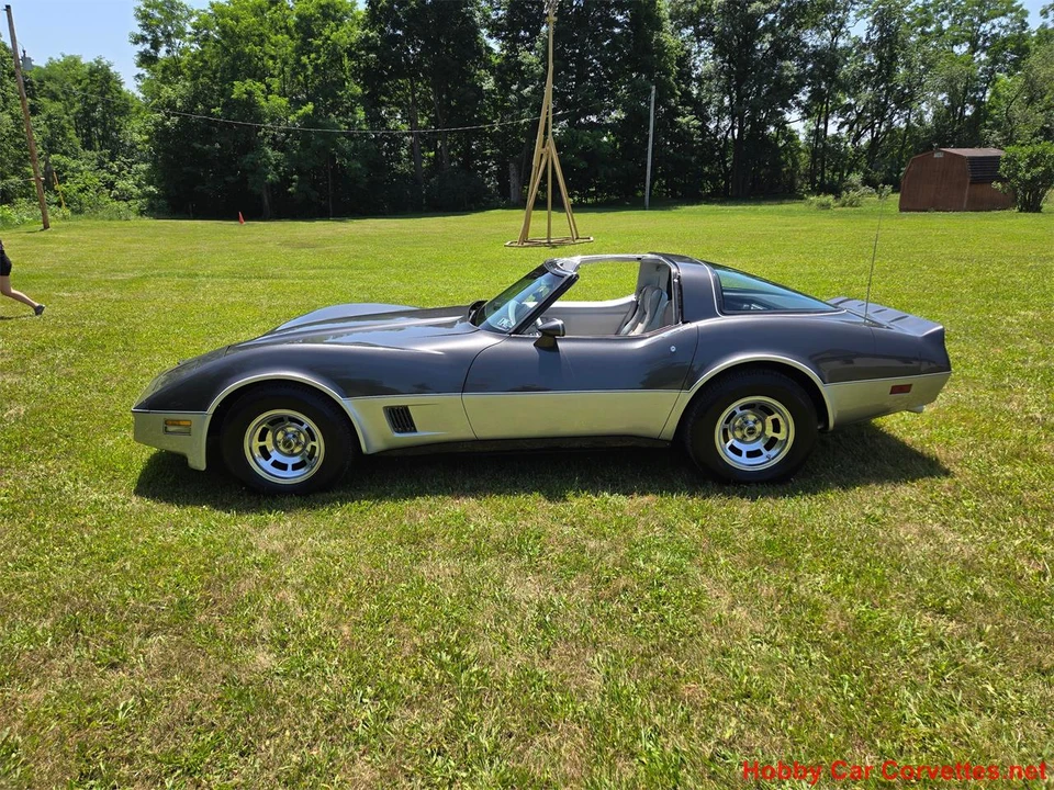 1981 Chevrolet Corvette C3 - Image 6 of 31