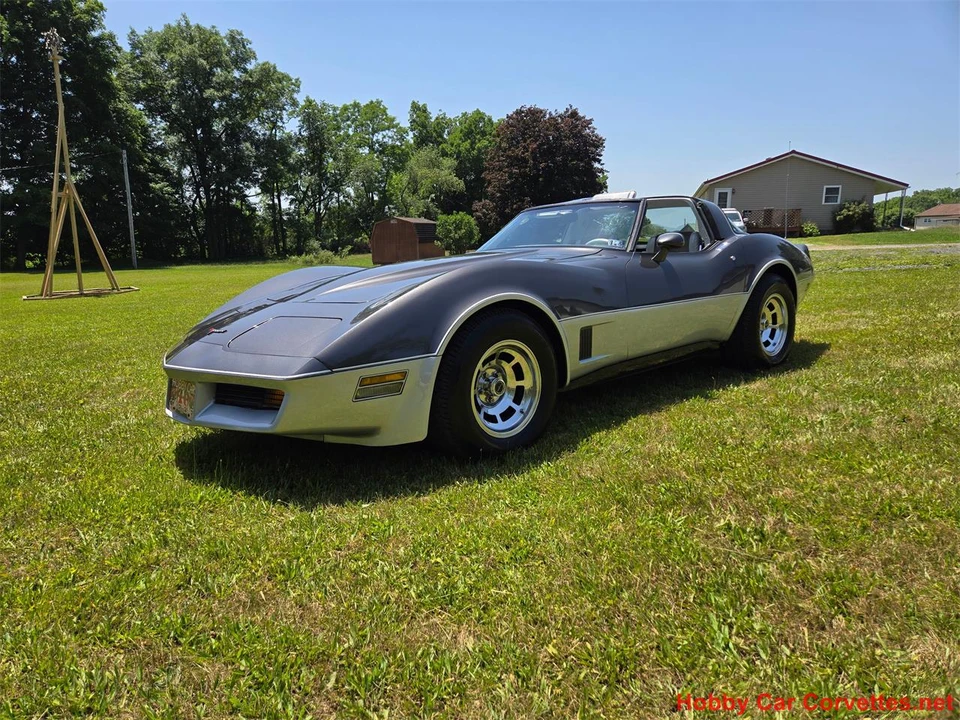 1981 Chevrolet Corvette C3 - Image 7 of 31