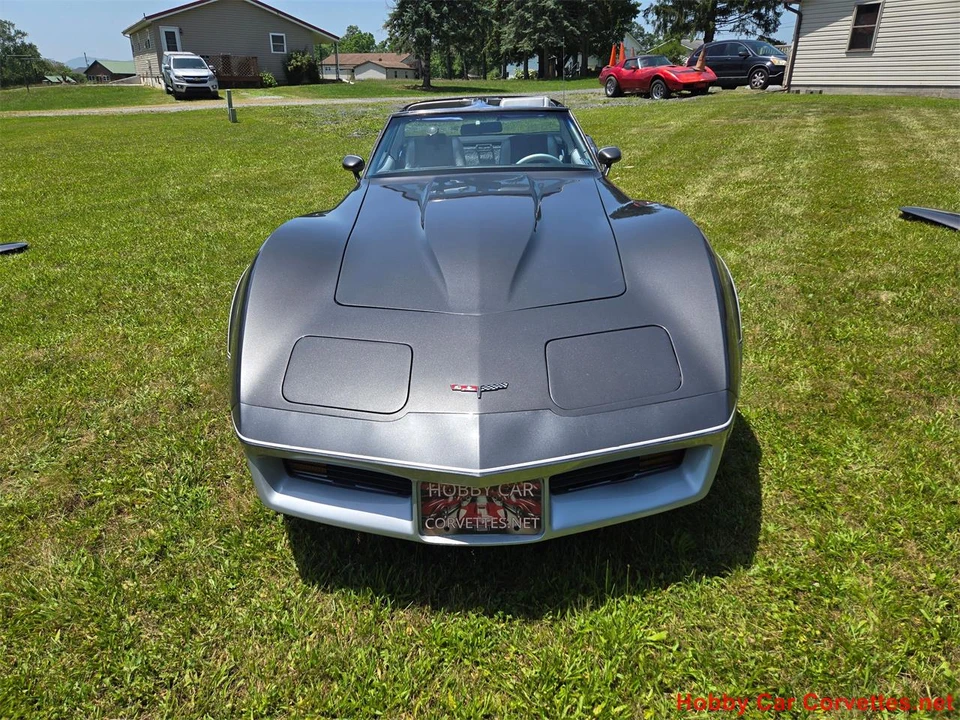 1981 Chevrolet Corvette C3 - Image 8 of 31
