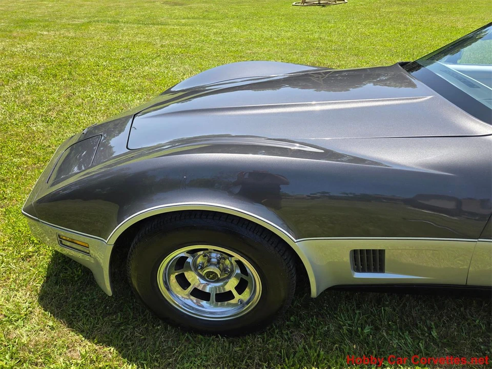 1981 Chevrolet Corvette C3 - Image 9 of 31