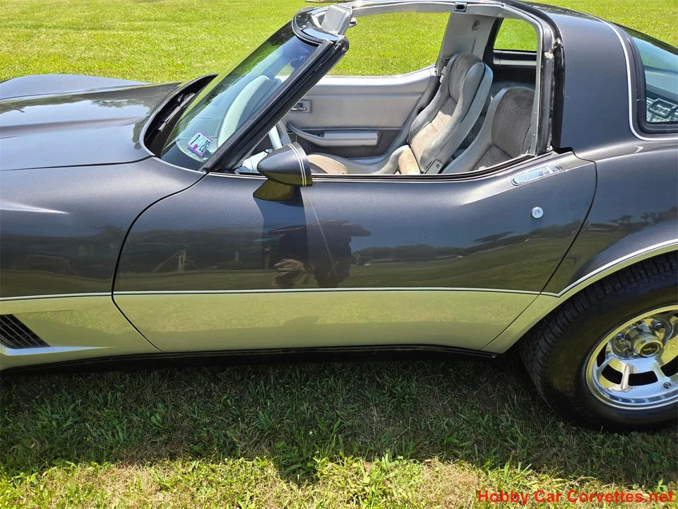 1981 Chevrolet Corvette C3 - Image 10 of 31