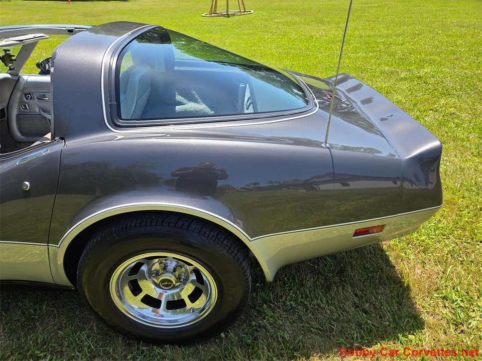 1981 Chevrolet Corvette C3 - Image 11 of 31