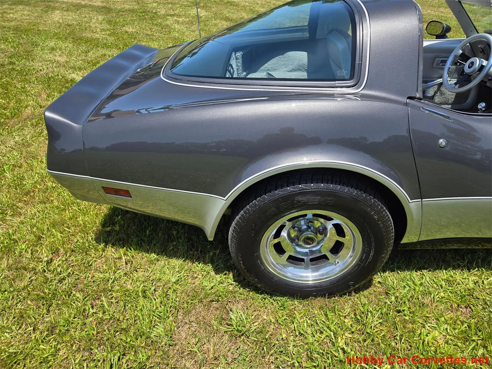 1981 Chevrolet Corvette C3 - Image 12 of 31