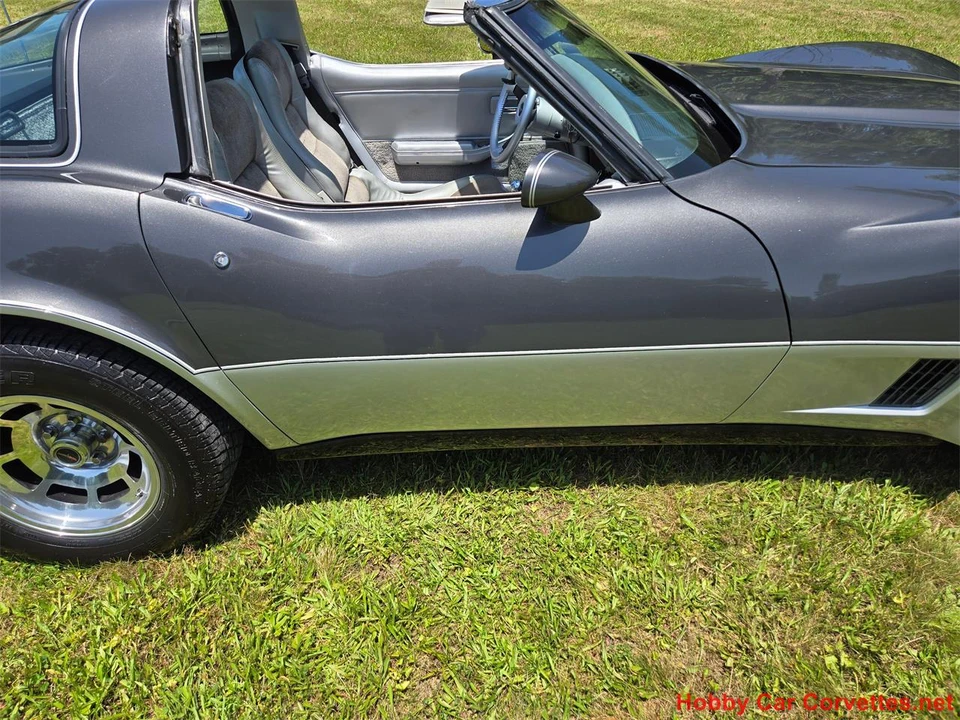 1981 Chevrolet Corvette C3 - Image 13 of 31
