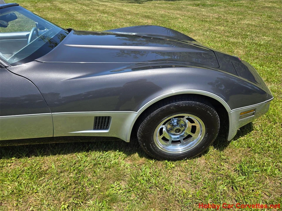 1981 Chevrolet Corvette C3 - Image 14 of 31