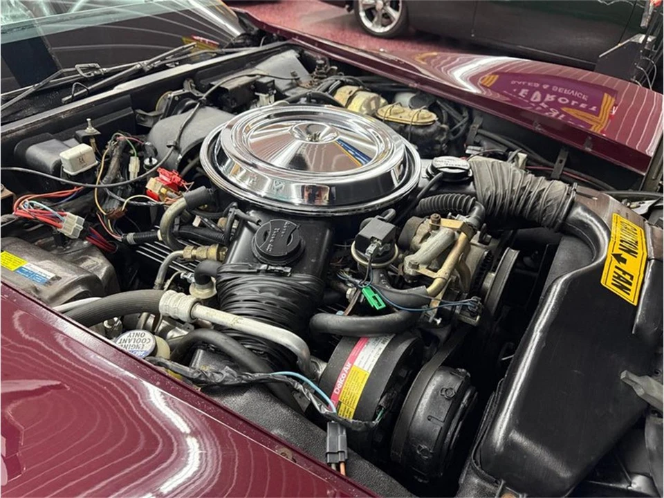 1981 Chevrolet Corvette C3 - Image 10 of 18