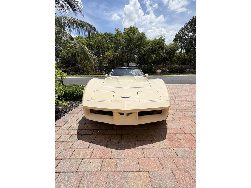1981 Chevrolet Corvette C3 - Image 2 of 20