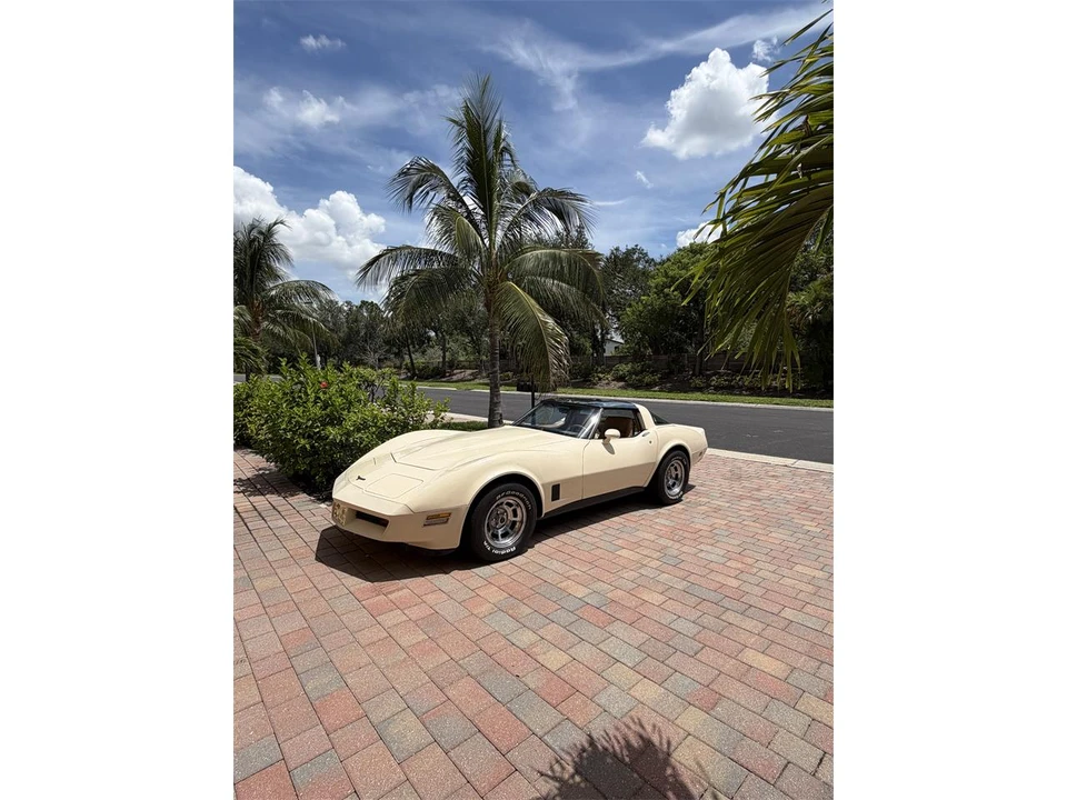 1981 Chevrolet Corvette C3 - Image 9 of 20