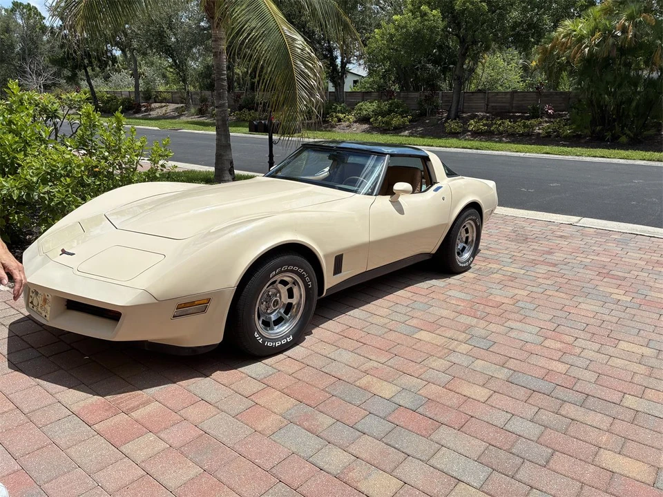 1981 Chevrolet Corvette C3 - Image 10 of 20