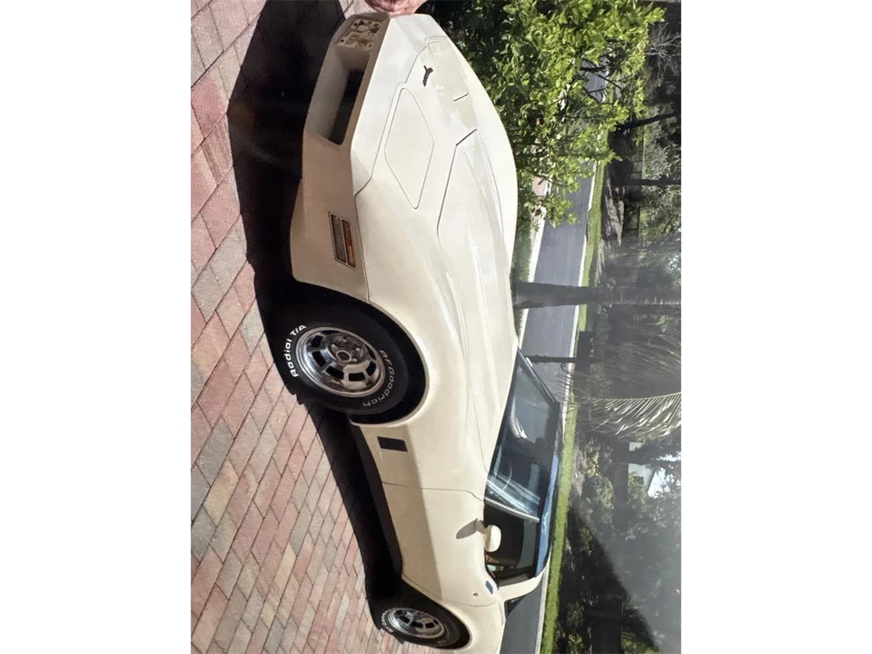 1981 Chevrolet Corvette C3 - Image 18 of 20