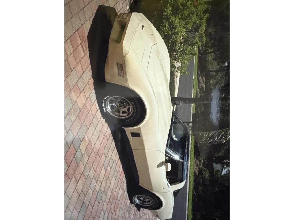 1981 Chevrolet Corvette C3 - Image 19 of 20