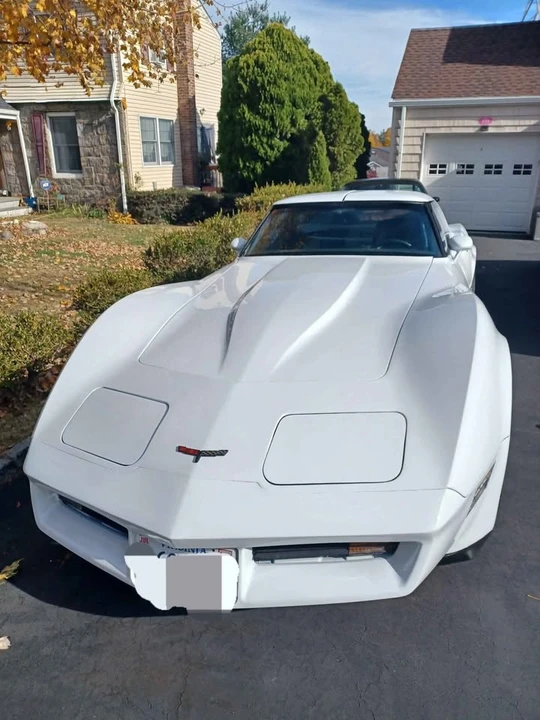 1981 Chevrolet Corvette C3 - Image 2 of 7