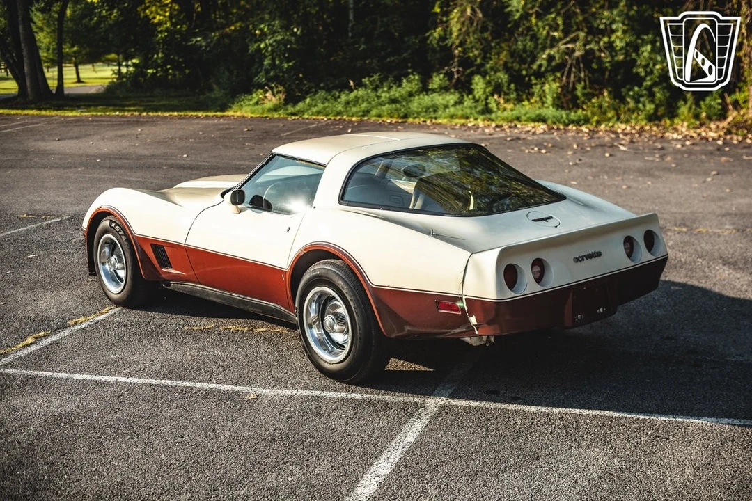 1981 Chevrolet Corvette C3 - Image 10 of 12