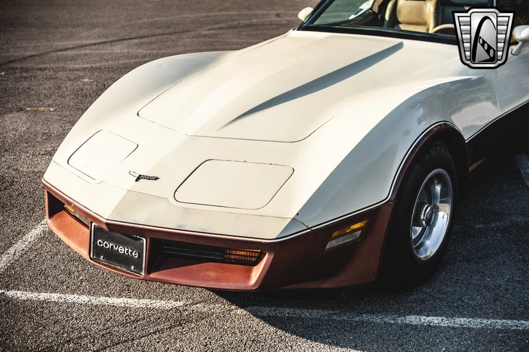1981 Chevrolet Corvette C3 - Image 12 of 12