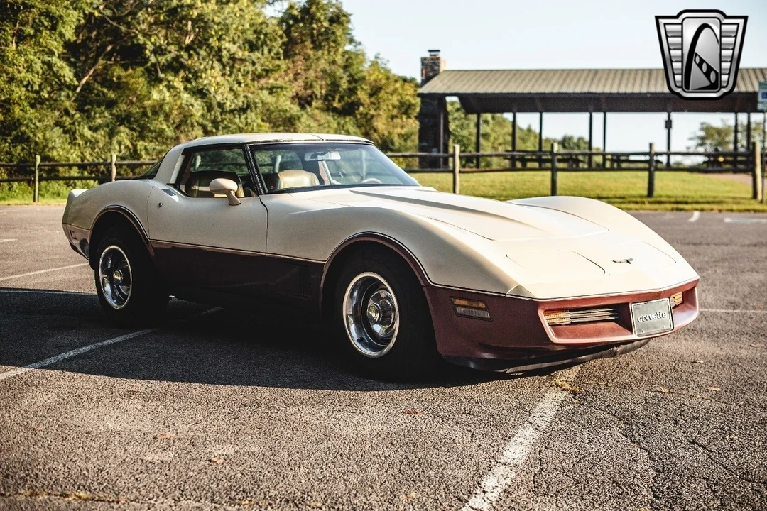 1981 Chevrolet Corvette C3 - Image 10 of 12