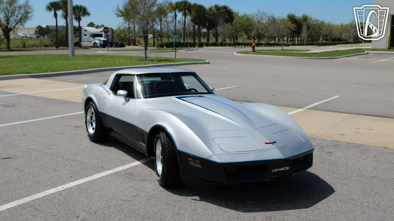 1981 Chevrolet Corvette C3 - Image 10 of 12