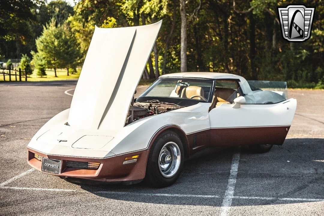 1981 Chevrolet Corvette C3 - Image 18 of 21