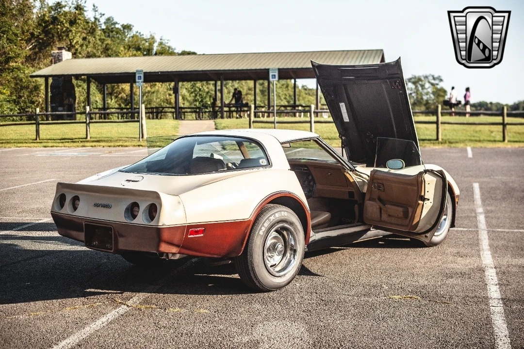 1981 Chevrolet Corvette C3 - Image 19 of 21
