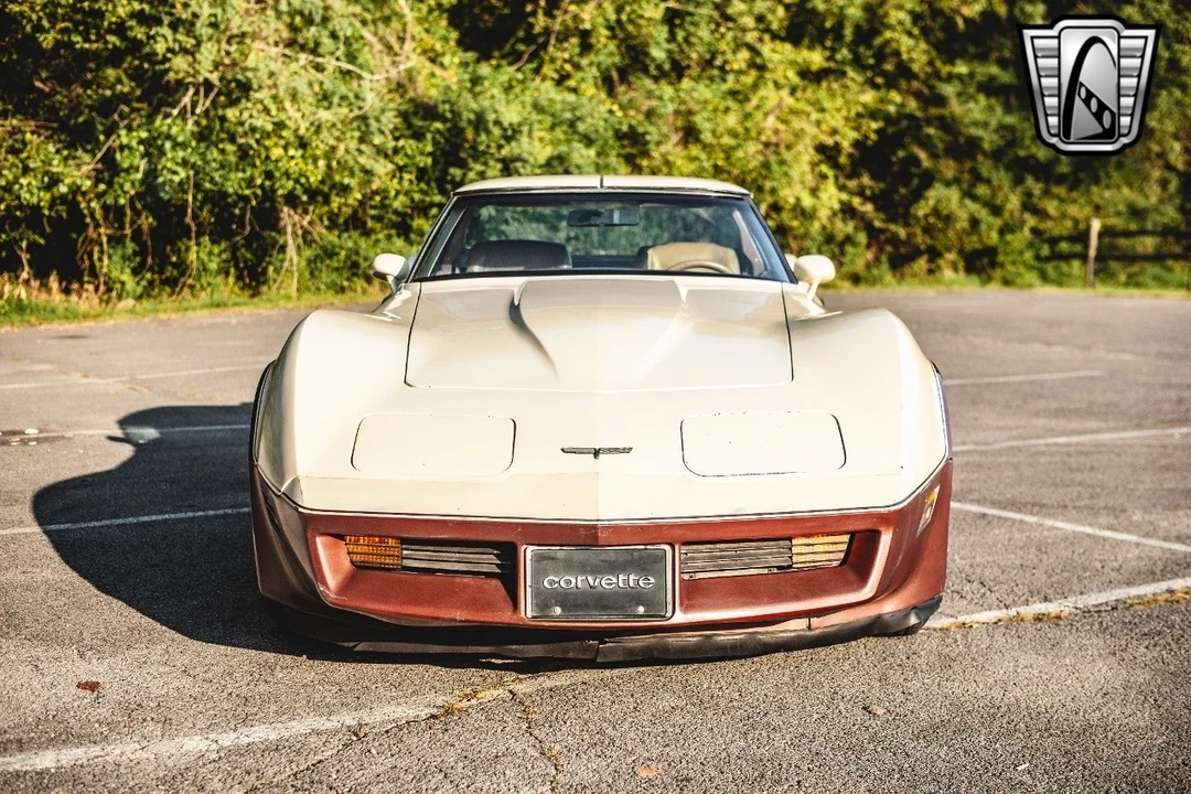 1981 Chevrolet Corvette C3 - Image 11 of 12