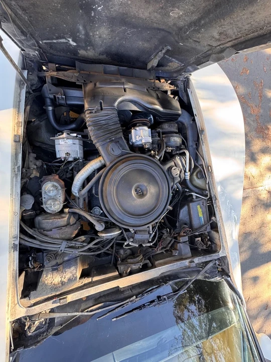 1981 Chevrolet Corvette C3 - Image 19 of 21
