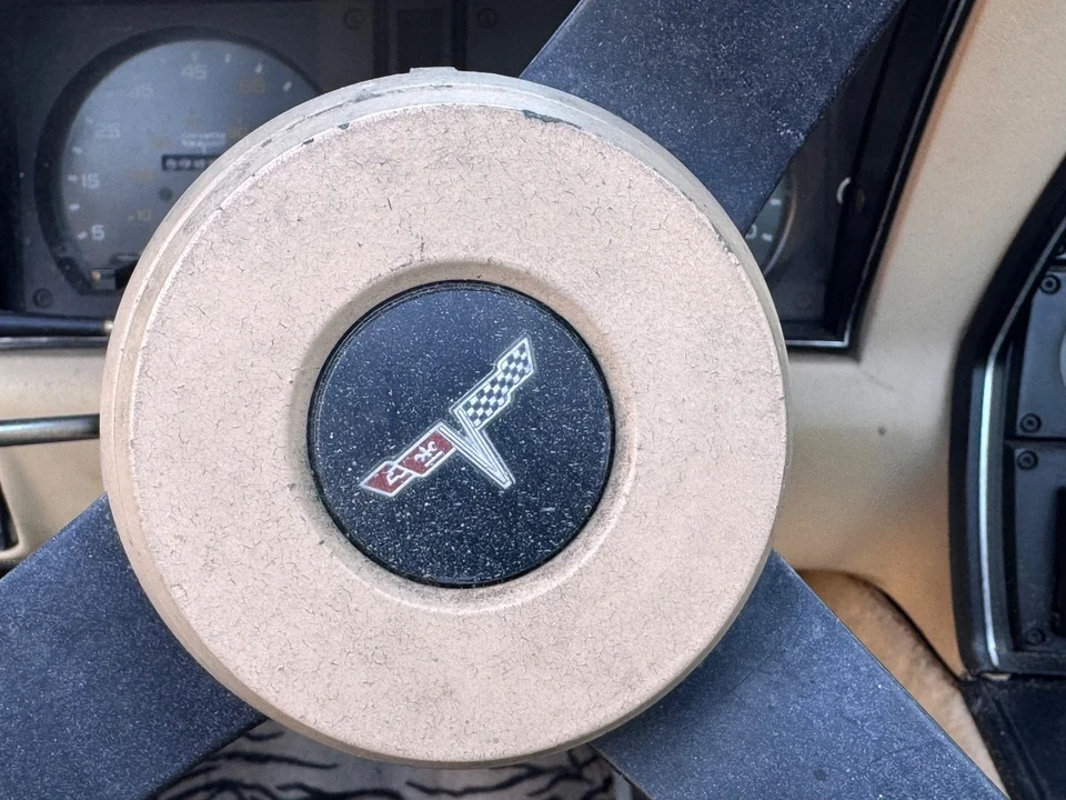 1981 Chevrolet Corvette C3 - Image 11 of 21