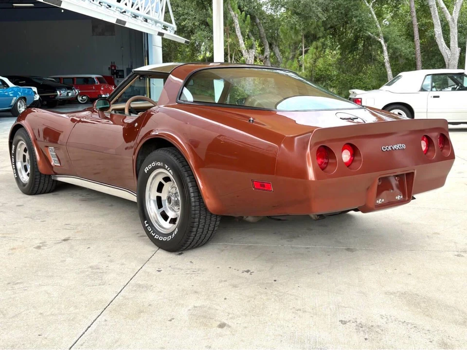 1981 Chevrolet Corvette C3 - Image 9 of 31