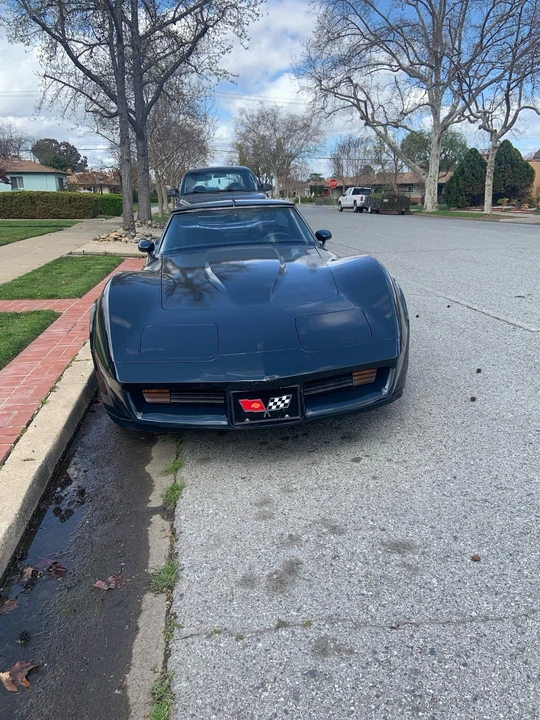 1981 Chevrolet Corvette C3 - Image 11 of 21