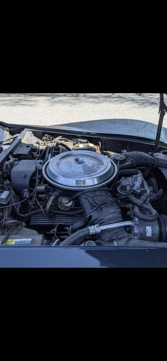 1981 Chevrolet Corvette C3 - Image 14 of 21