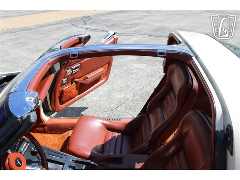 1981 Chevrolet Corvette C3 - Image 16 of 31