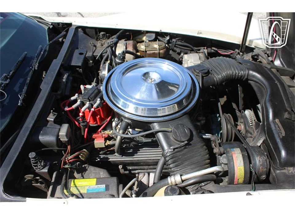 1981 Chevrolet Corvette C3 - Image 9 of 31