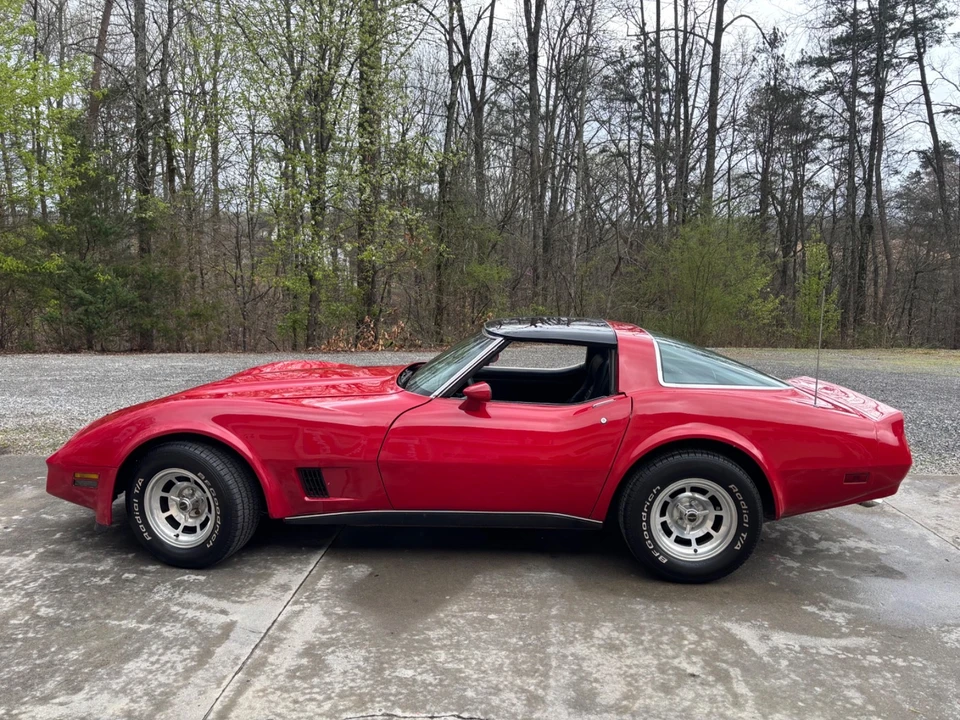 1981 Chevrolet Corvette C3 - Image 10 of 19