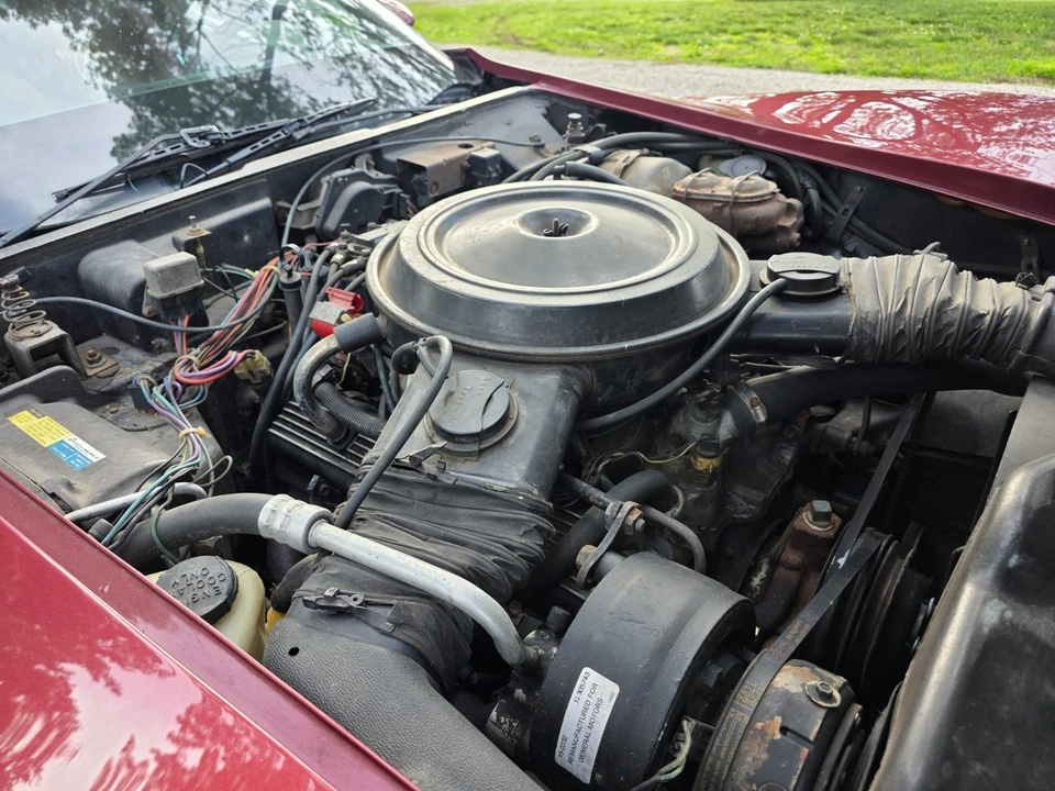 1981 Chevrolet Corvette C3 - Image 31 of 31