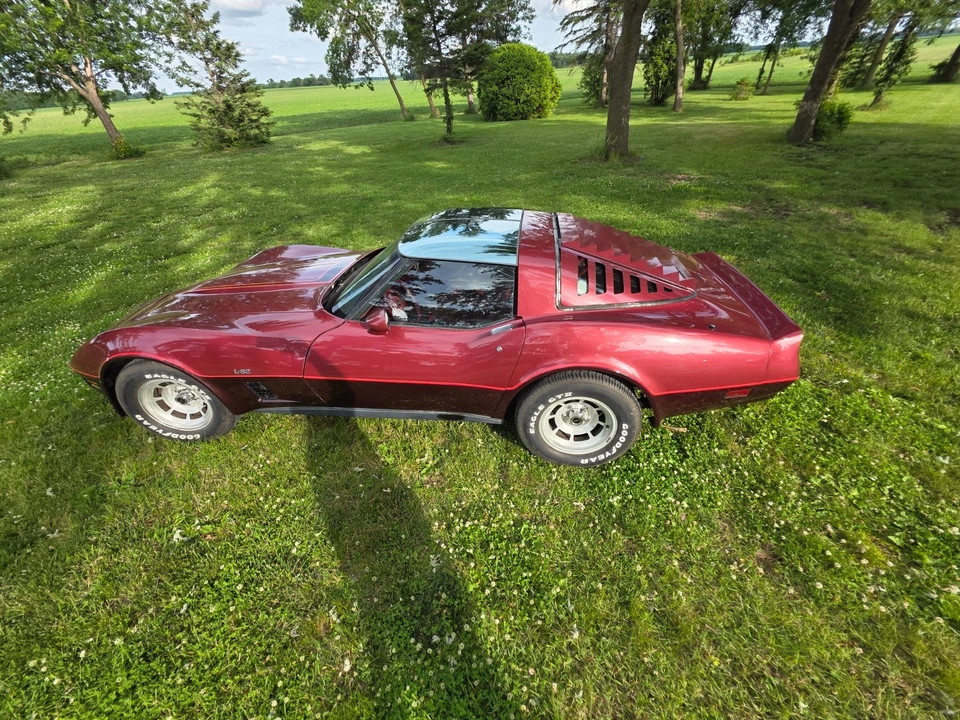 1981 Chevrolet Corvette C3 - Image 16 of 31