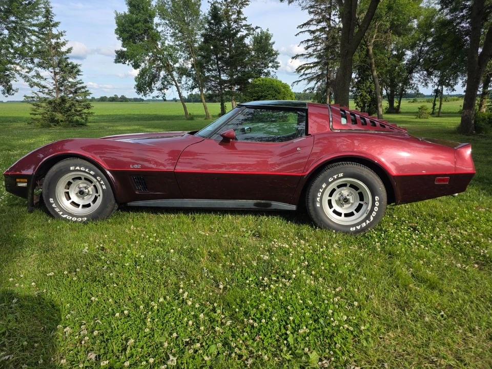 1981 Chevrolet Corvette C3 - Image 8 of 31