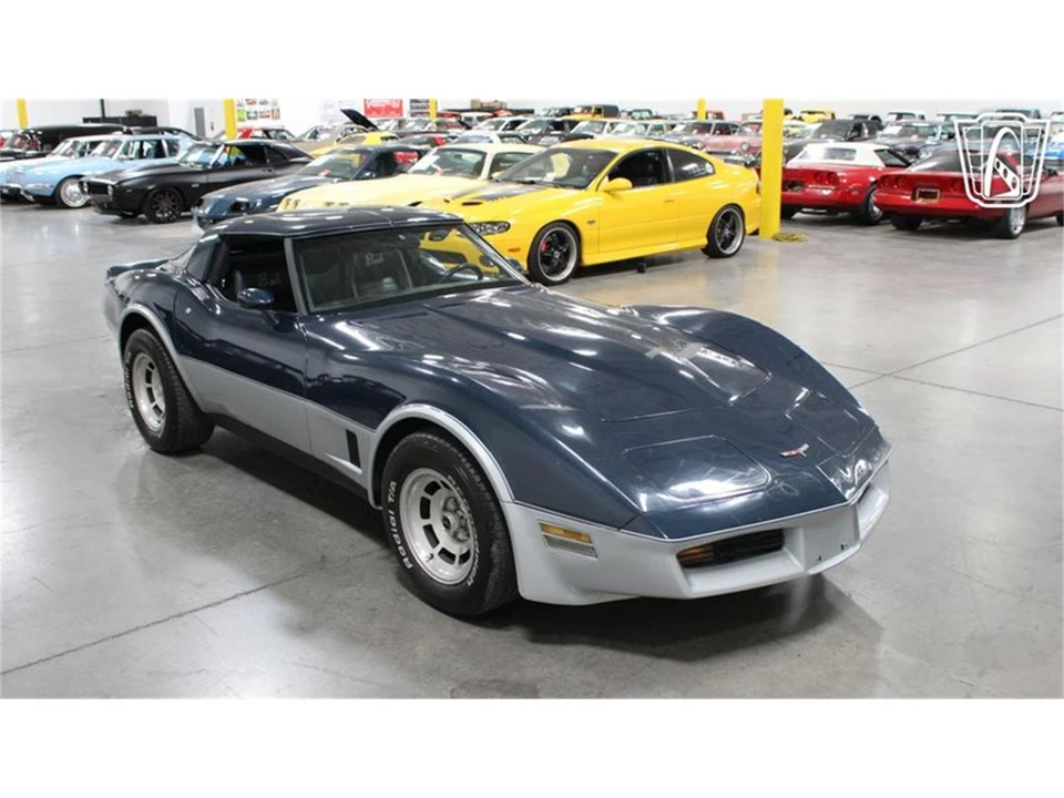 1981 Chevrolet Corvette C3 - Image 9 of 31