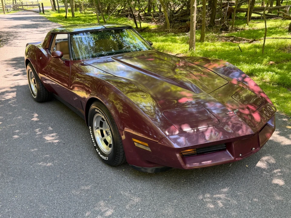1981 Chevrolet Corvette C3 - Image 31 of 31