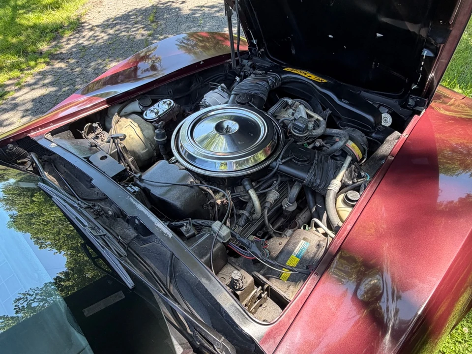 1981 Chevrolet Corvette C3 - Image 22 of 31