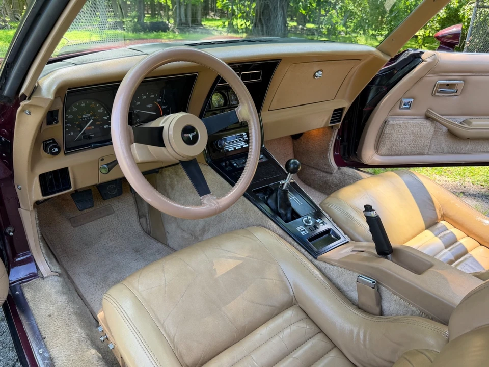 1981 Chevrolet Corvette C3 - Image 10 of 31