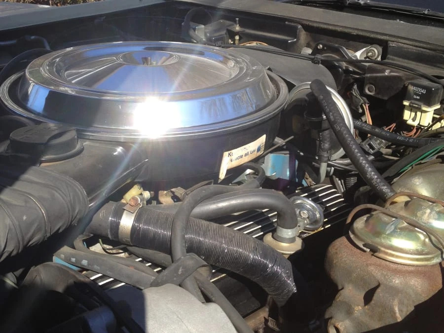 1981 Chevrolet Corvette C3 - Image 3 of 4