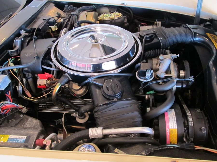 1981 Chevrolet Corvette C3 - Image 6 of 7