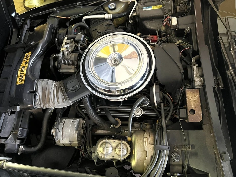 1981 Chevrolet Corvette C3 - Image 17 of 31